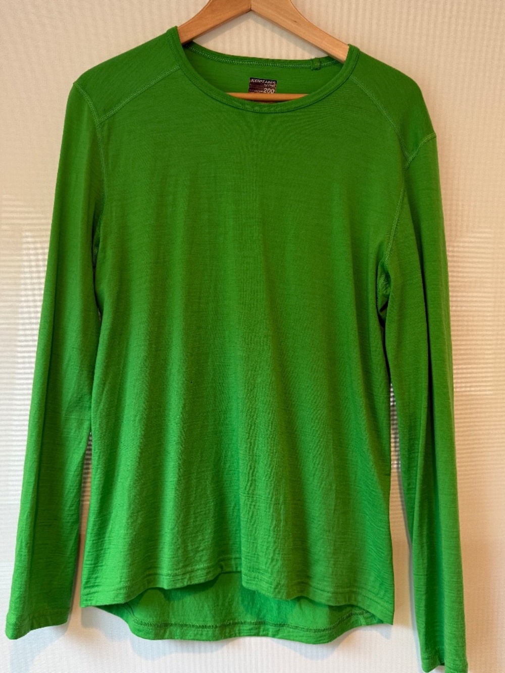 Icebreaker Merino Bodyfit 200 Green Long Sleeve Base Layer Men's M Wool Shirt